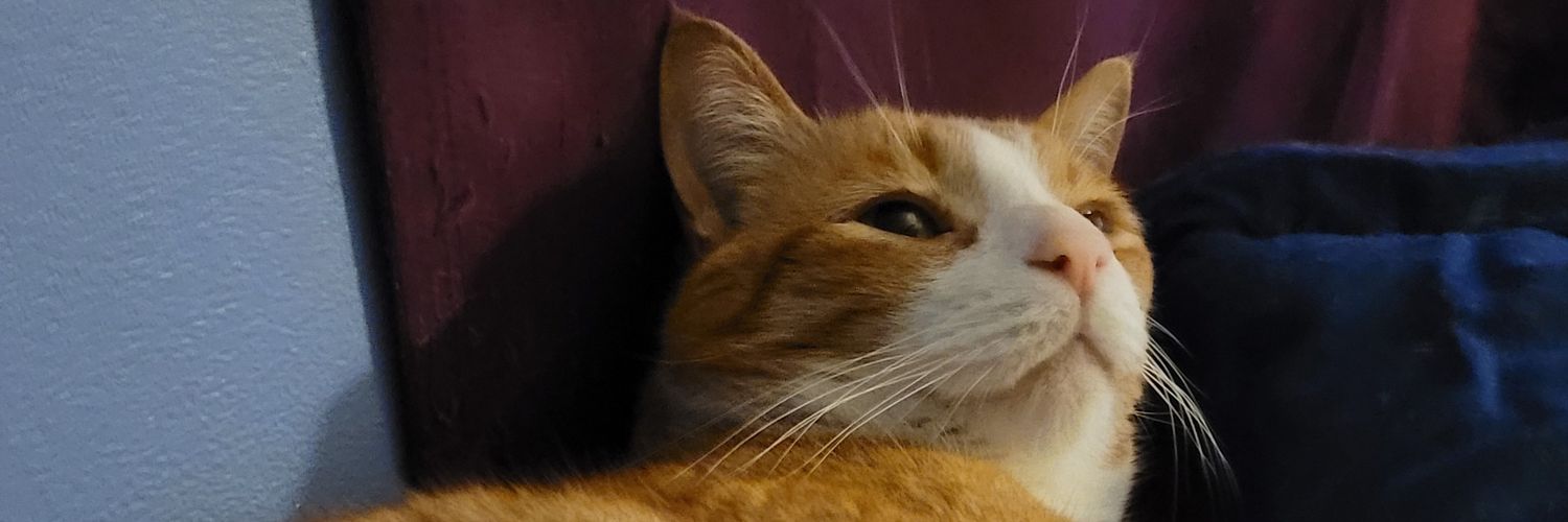 FlabbergastedMa's profile banner image