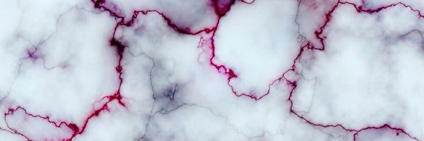 TBiniecki Profile Banner