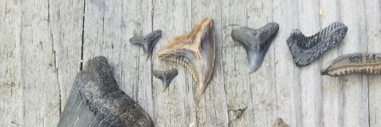 Galapagos Chuck🌽🥖🌹 banner