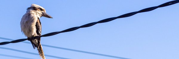 michela Profile Banner