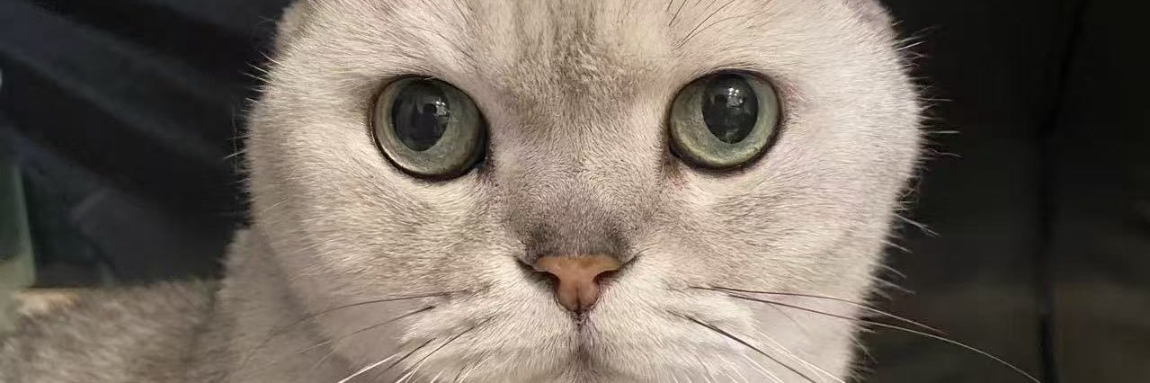 tapopat's profile banner image