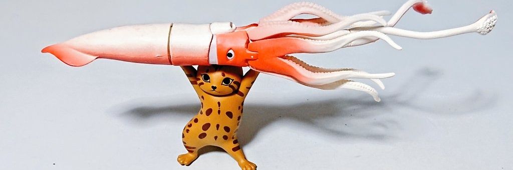 烏賊シャトル@若年性白内障治療済 banner