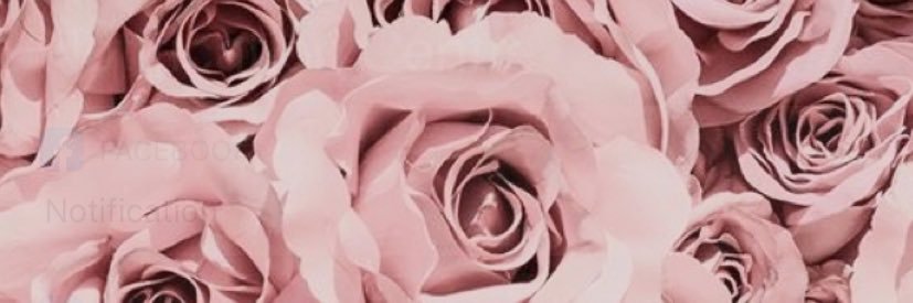 GretaM_'s profile banner image