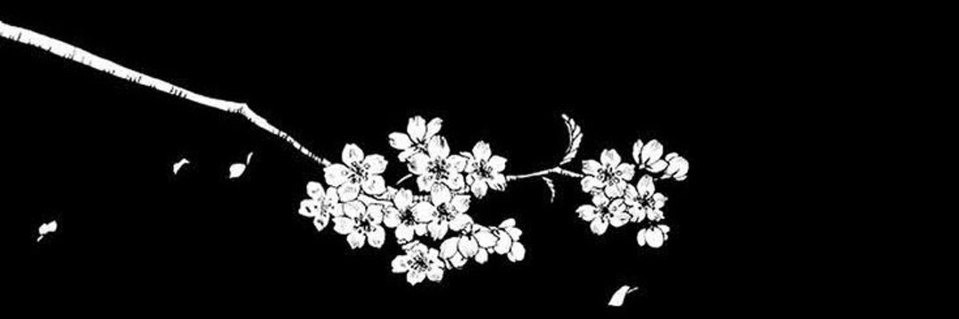 𓅓 ᴝⳋⳋⳋ banner