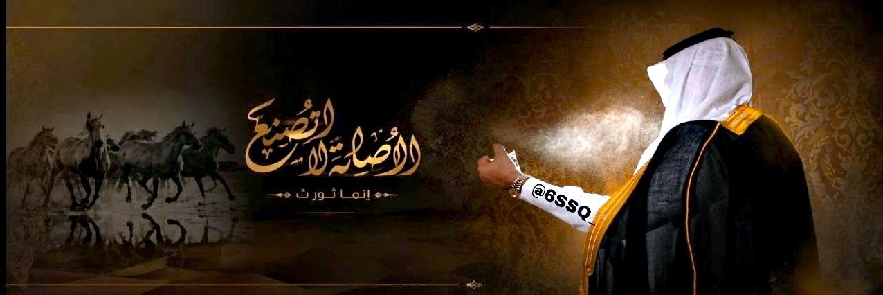 6SSQ_'s profile banner image