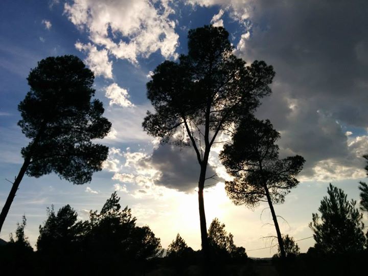 infofacilisimo's profile banner image
