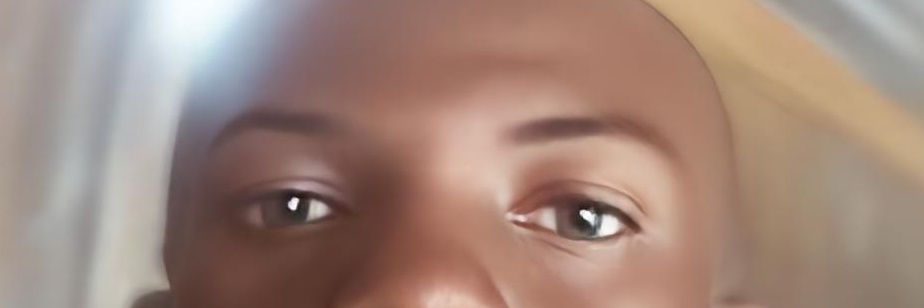 wudman@zetarium banner