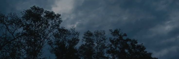 oceanproblem's profile banner image