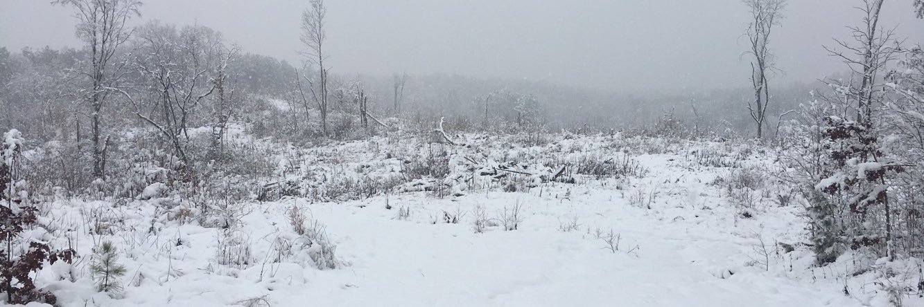 Drew Wilson⚾ banner