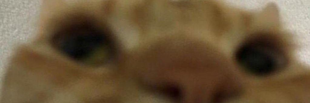 koown banner