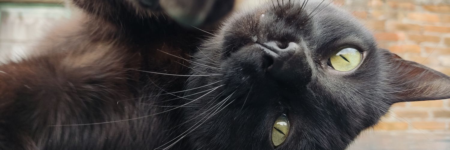 diegosopolar's profile banner image