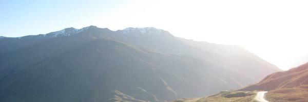 grassaintgreene Profile Banner