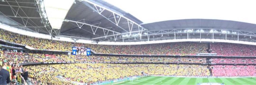 michael oliphant banner