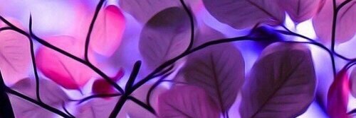 cinneowise's profile banner image