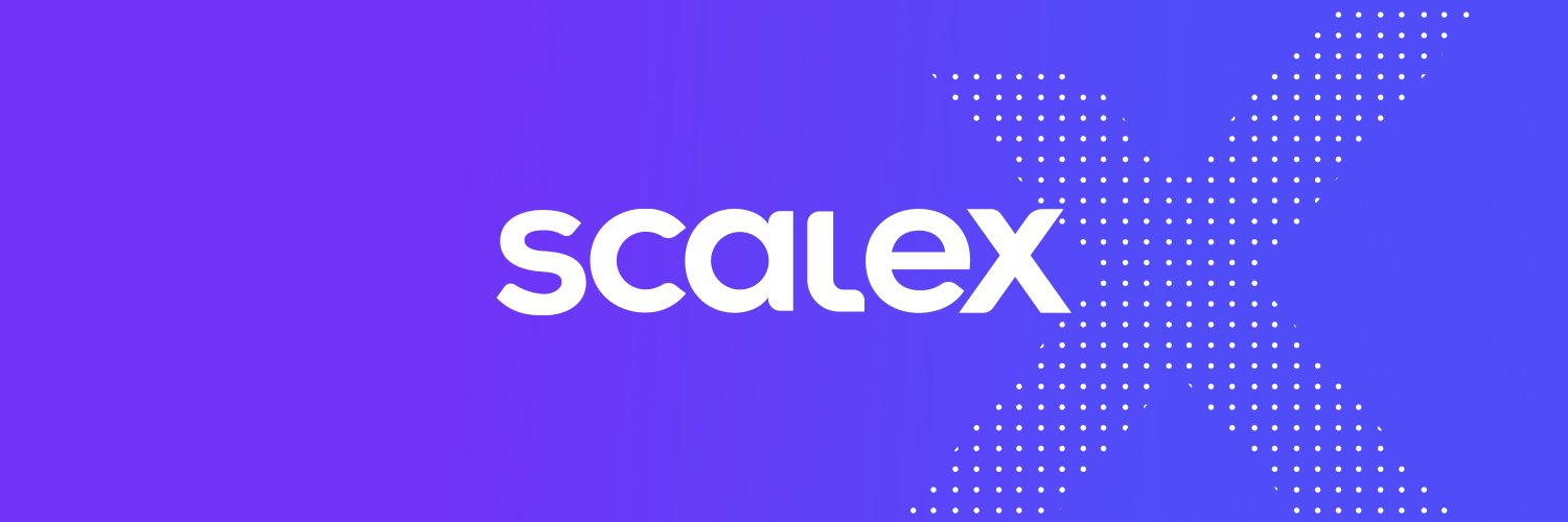 ScaleX Ventures Profile Banner