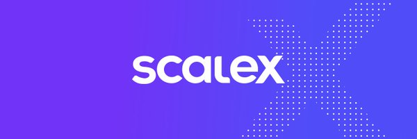 ScaleXVentures Profile Banner