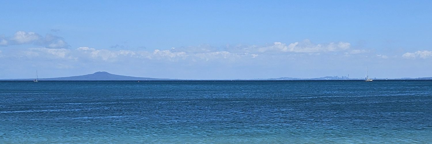 Quentin Quaadgras banner