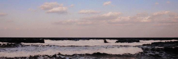 𝐋𝐄𝐕𝐈. banner