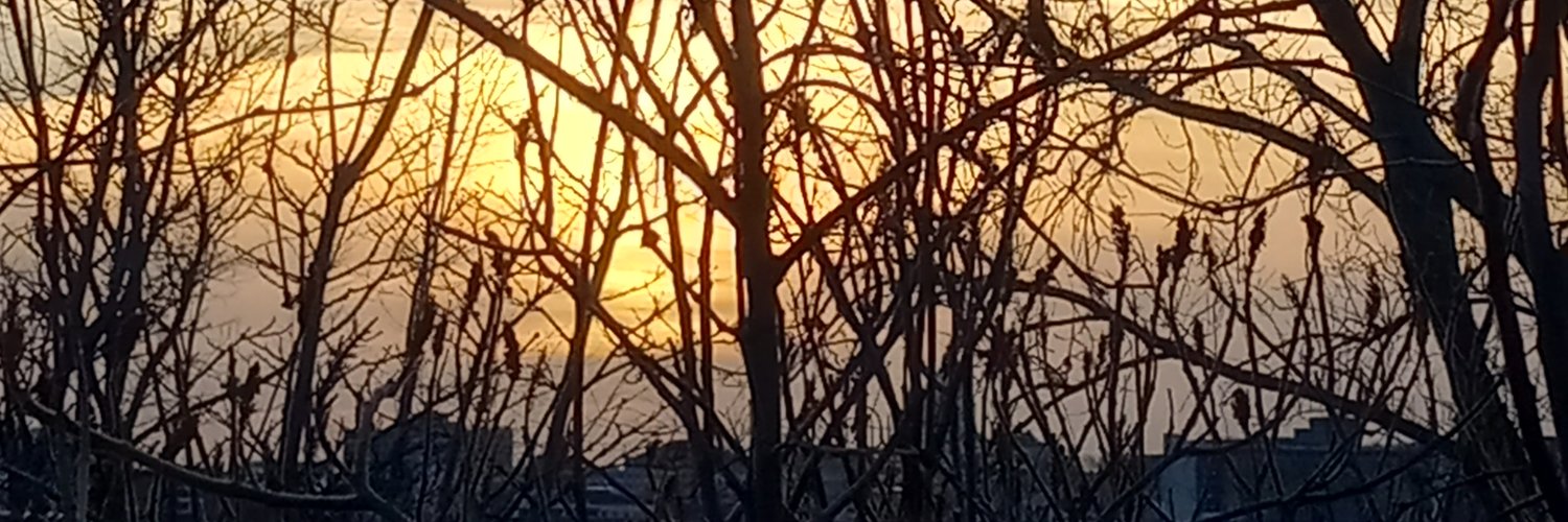 some one banner