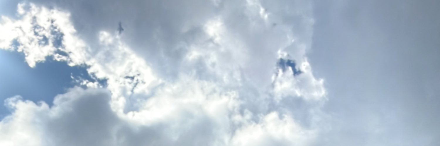 thomazelp's profile banner image