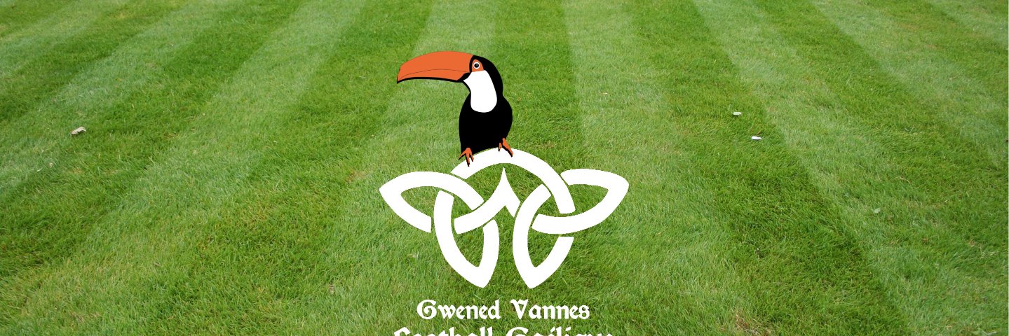 Vannes FG banner