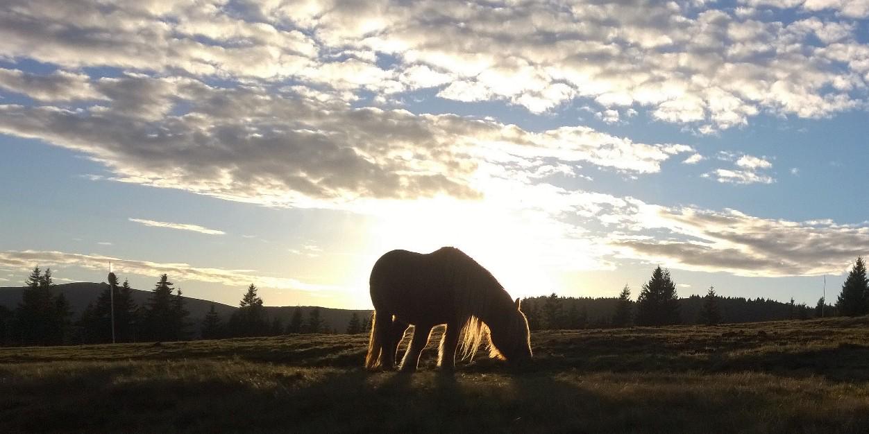 seb68's profile banner image