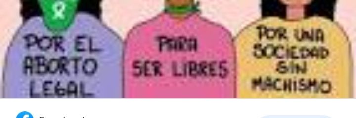 Feminismo progres banner