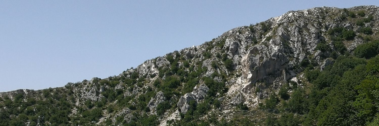 Scardreamer's profile banner image