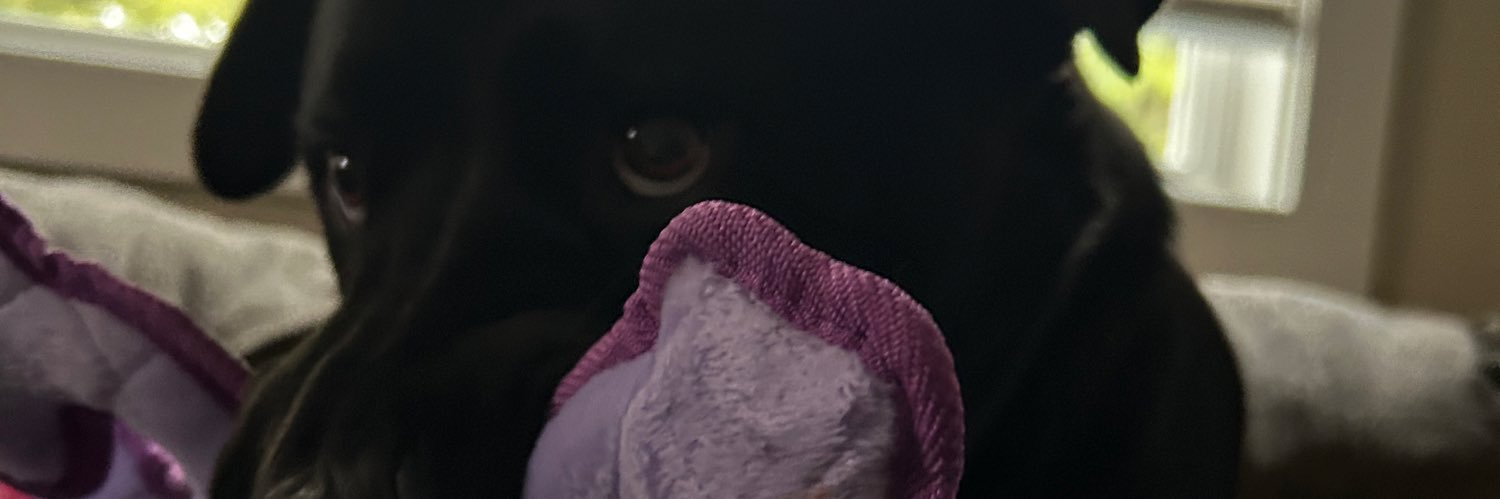 ItsVokay's profile banner image