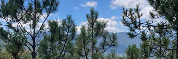 andreamelo___ Profile Banner