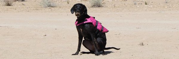 estherelu Profile Banner