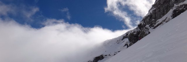 dianaciorba's profile banner image