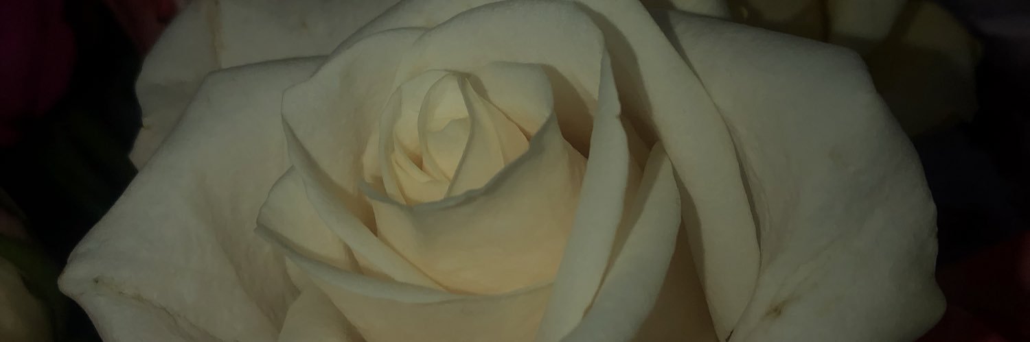 euniceeexo's profile banner image