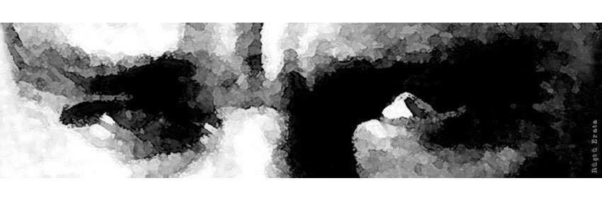 RustuErata's profile banner image
