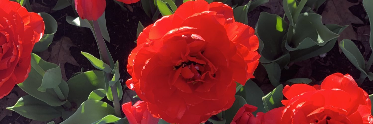 ameliapb96's profile banner image