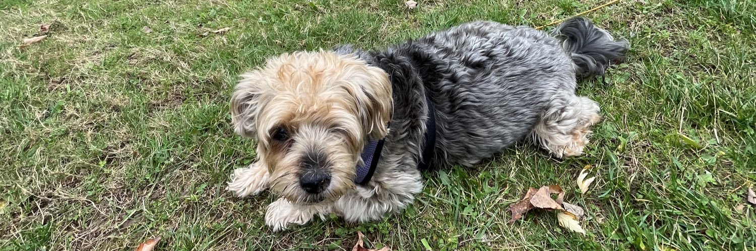 Phillies Phan Pete banner