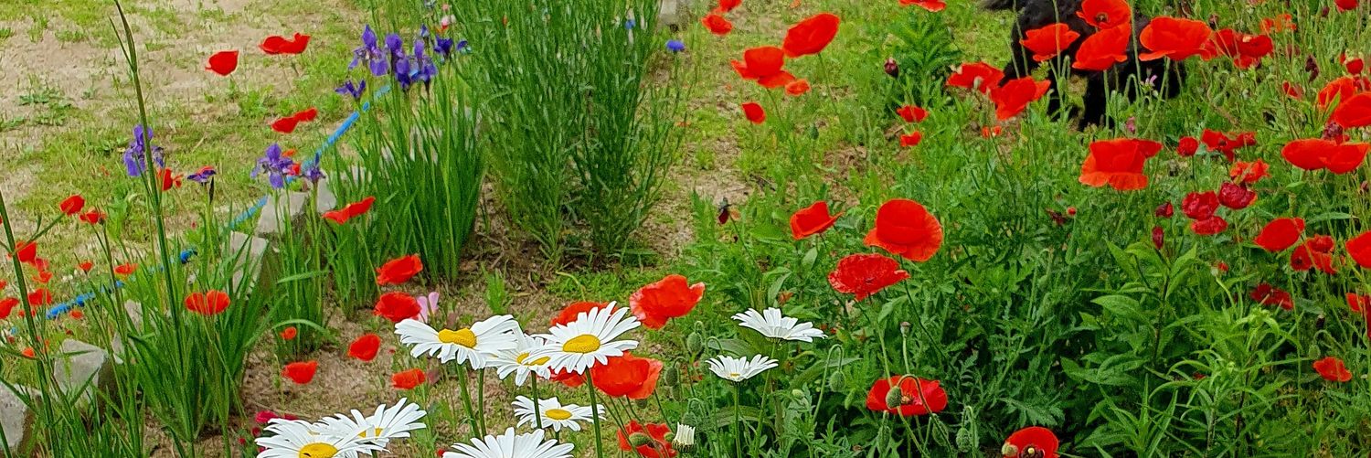 모르페우스 banner