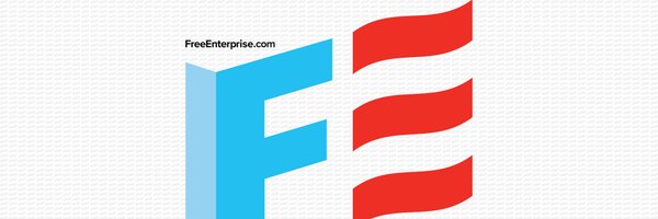 FreeEnterprise Profile Banner