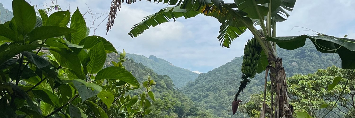 santesmg's profile banner image