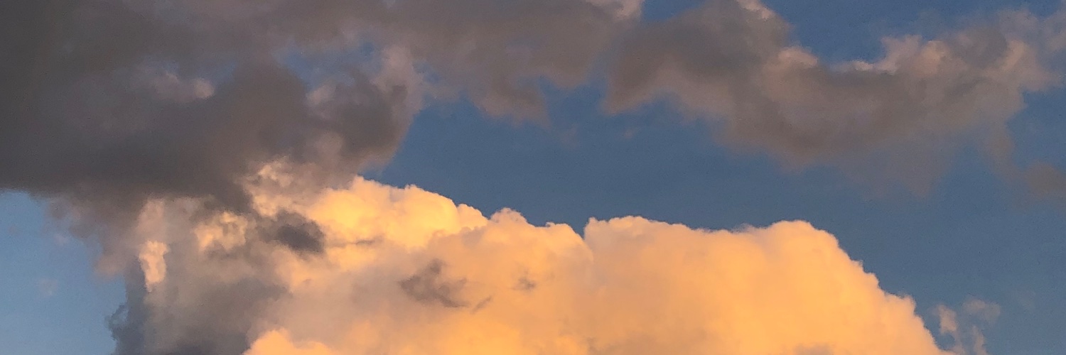 rbravonow's profile banner image