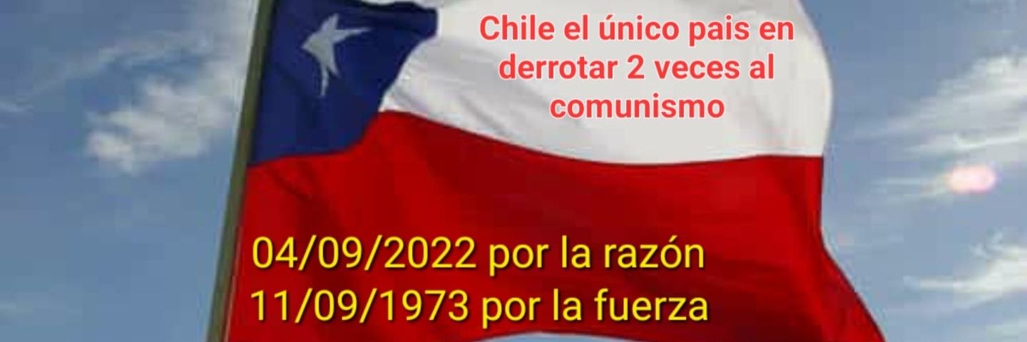 Lorena 🇨🇱🇨🇱🇨🇱⚓️ VIVA CHILE LIBRE‼️ banner