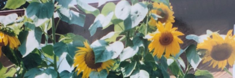 Sadurn333's profile banner image