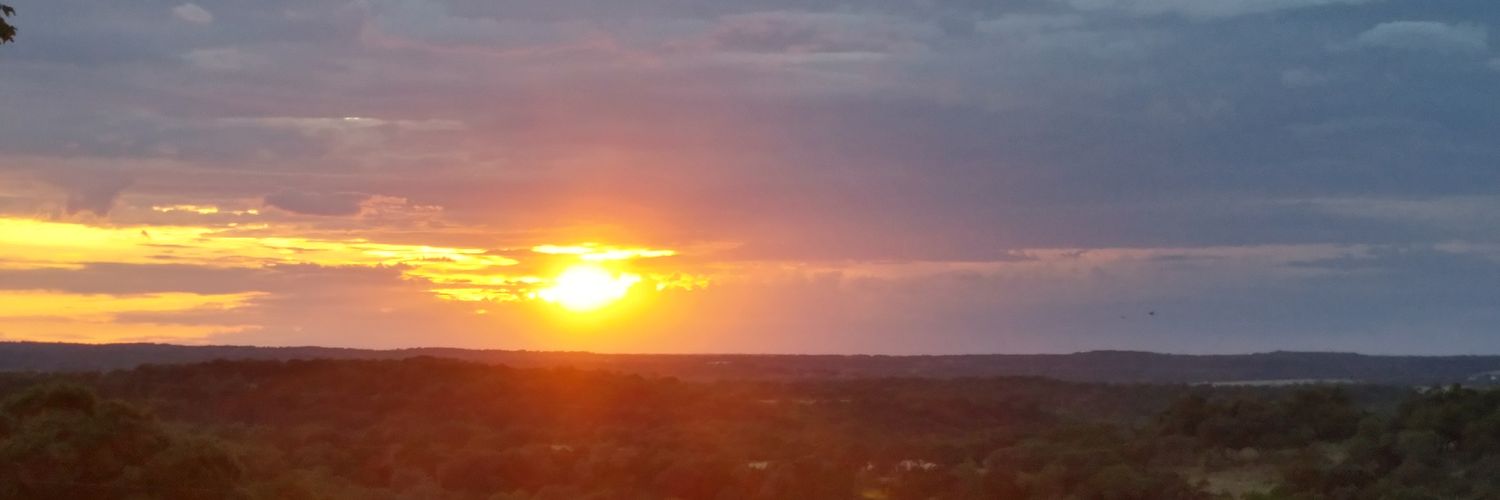 geeminee's profile banner image