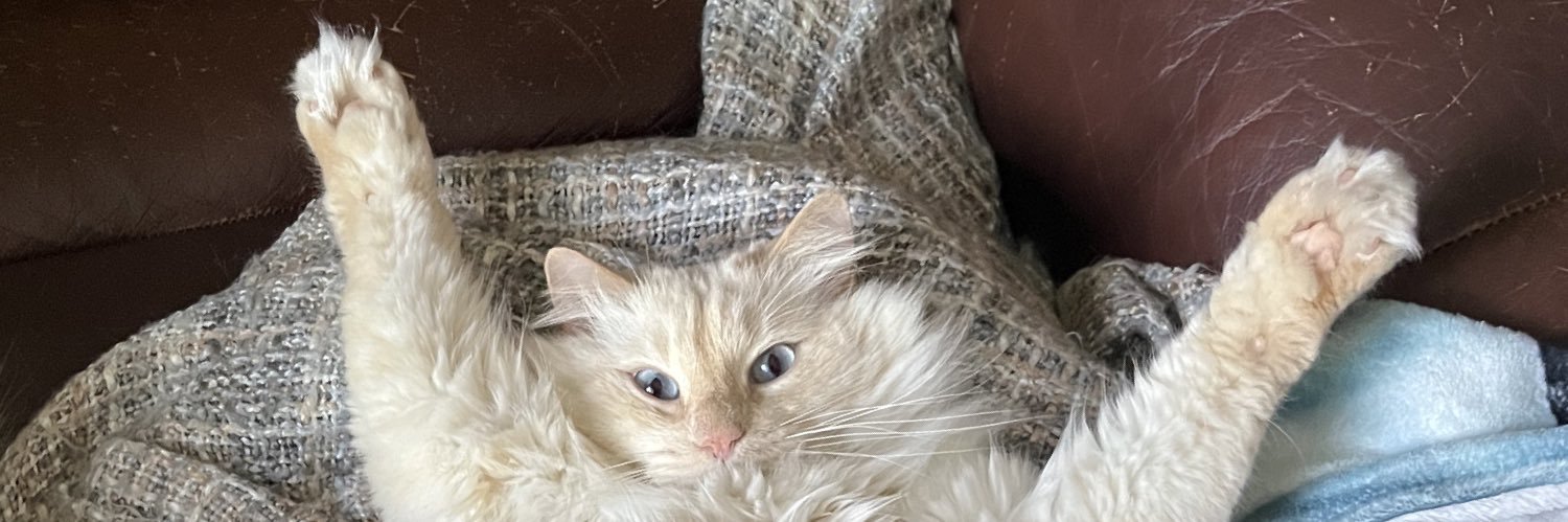 Katrina Cameron banner