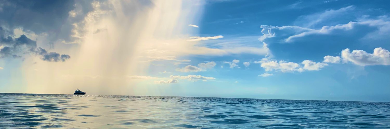 XochitlSPC's profile banner image