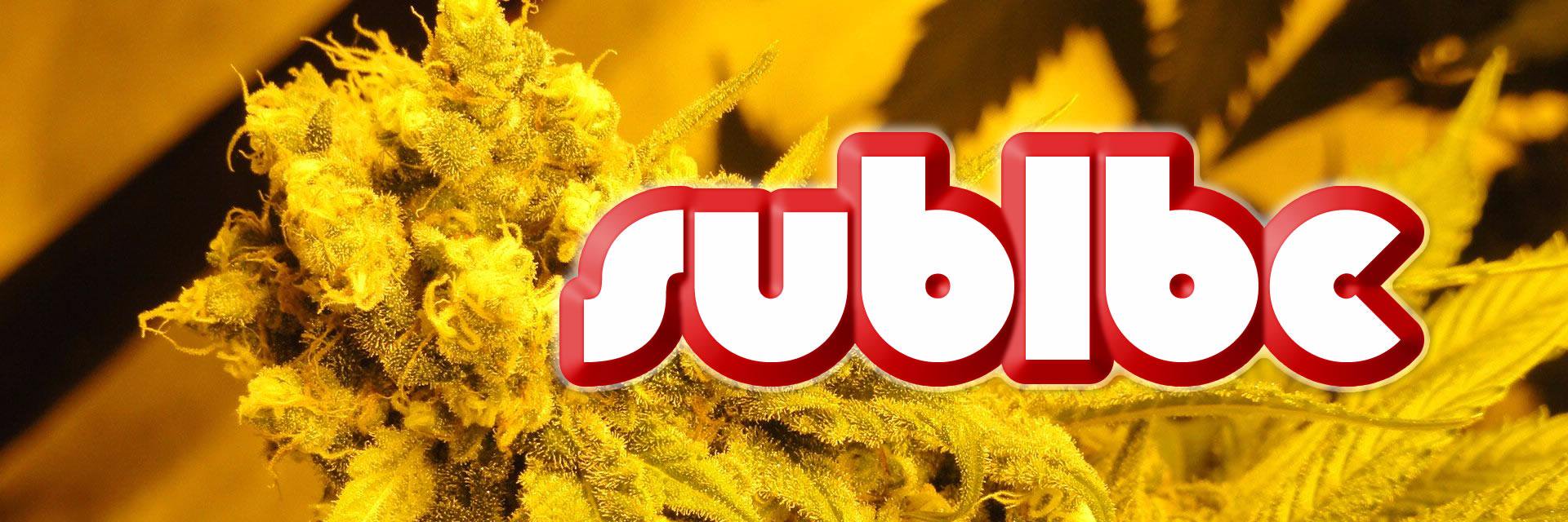 sublbc's profile banner image