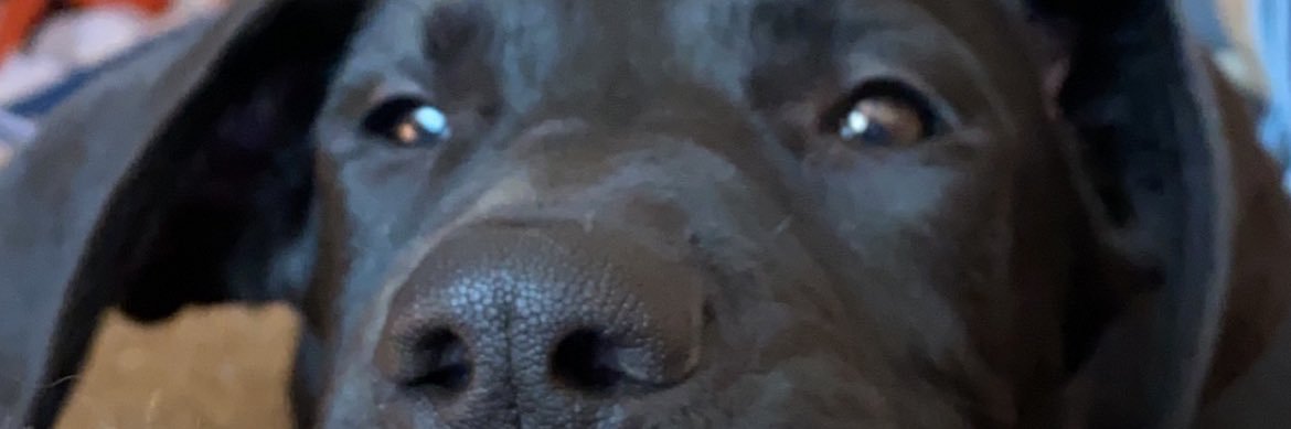 albaughofficial's profile banner image