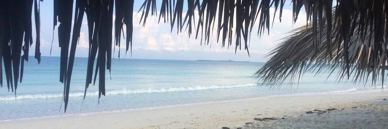 David Brigstocke banner