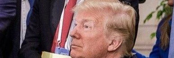 TrumpProsecutor Profile Banner