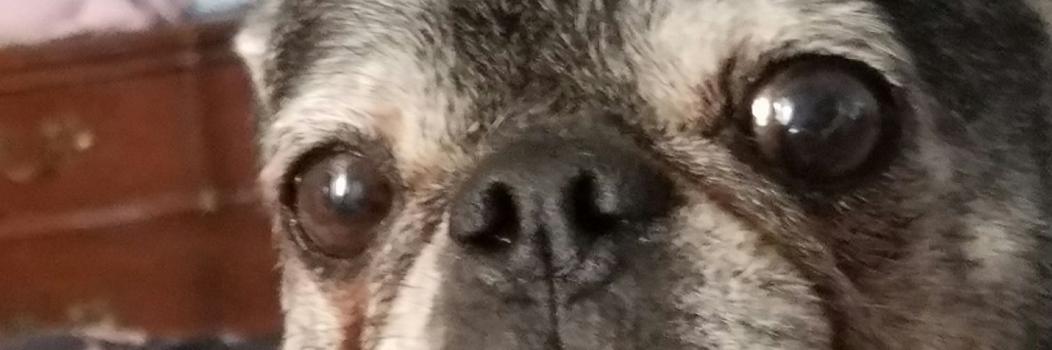DebbieChat02's profile banner image